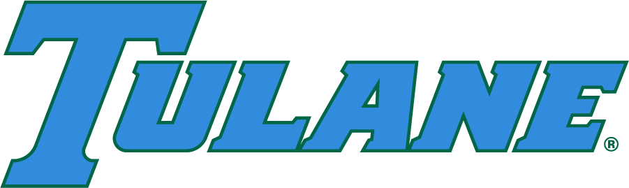 Tulane Green Wave 2017-Pres Wordmark Logo diy iron on heat transfer
